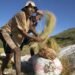 Understanding UN News: Global Perspective, Human Stories