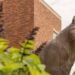 Pursue Your Esports Dream at Doane University in Eastern Nebraska